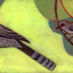 abirds_pics.jpg