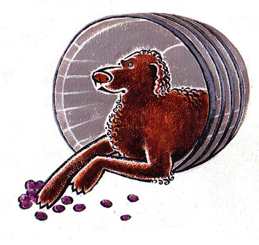 Loading Image